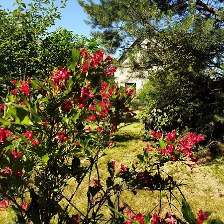 33 Apartmán Teplice nad Metují